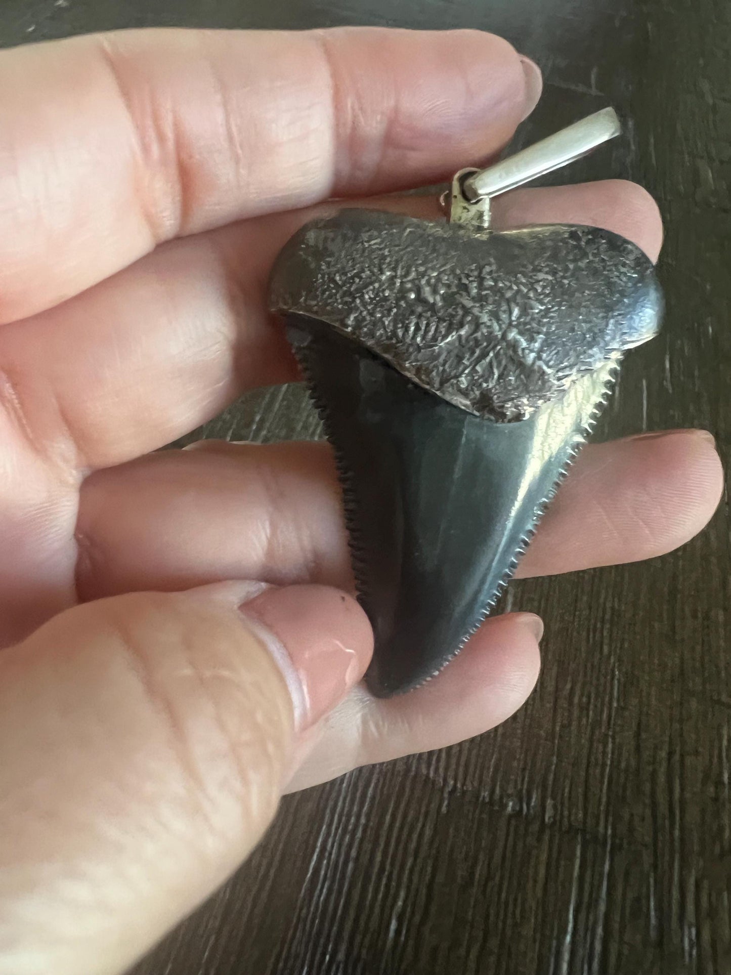 Megalodon Tooth Pendant | Sterling Silver