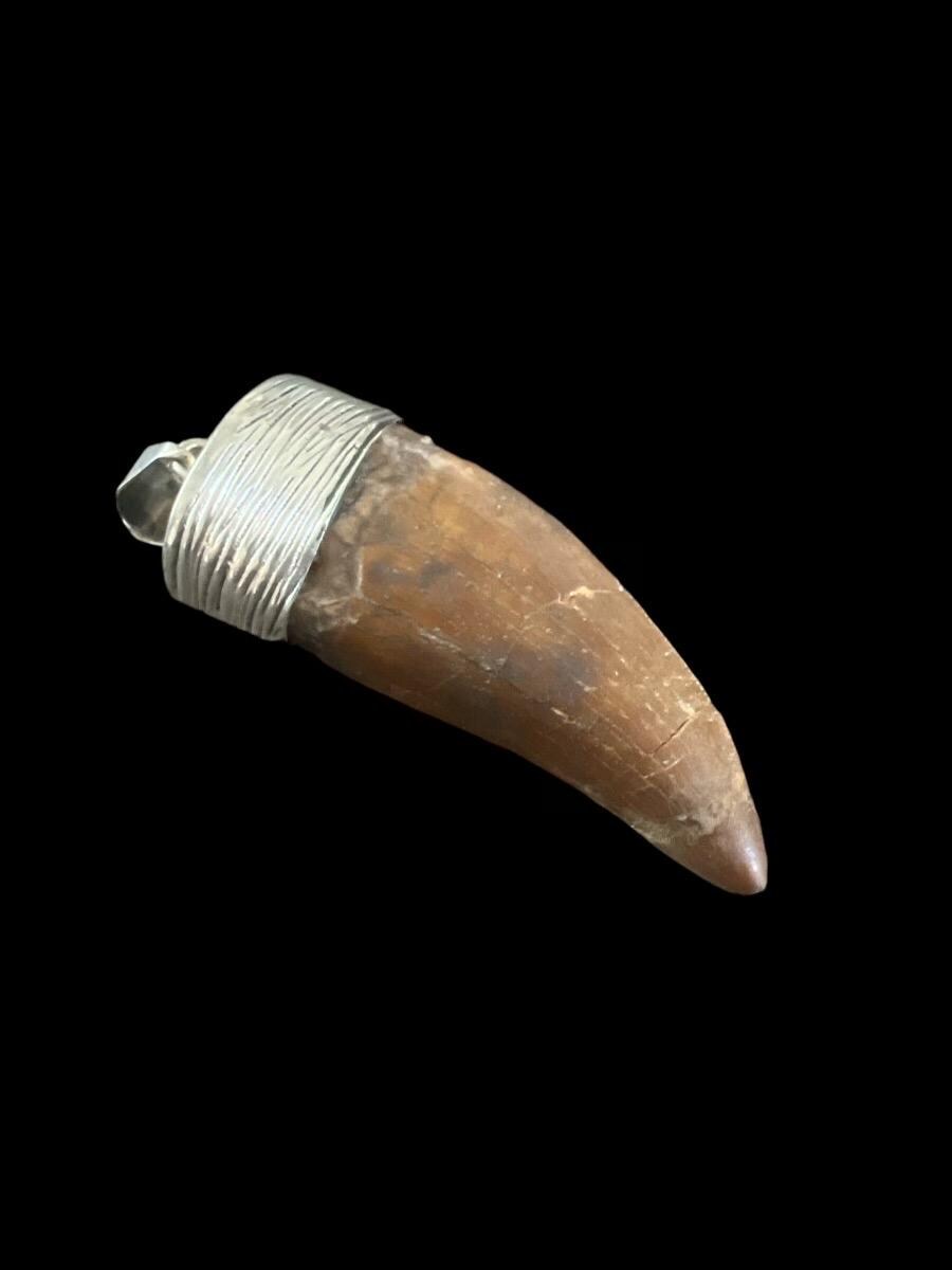 2” Carcharodontosaurus Tooth Pendant | Sterling Silver