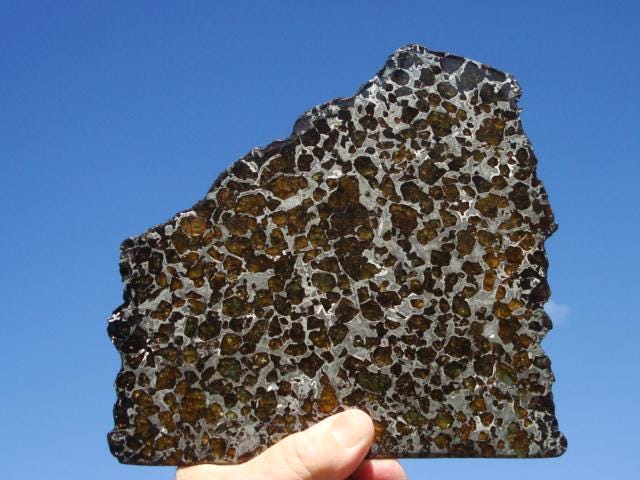 Brahin Pallasite Slice 563 grams