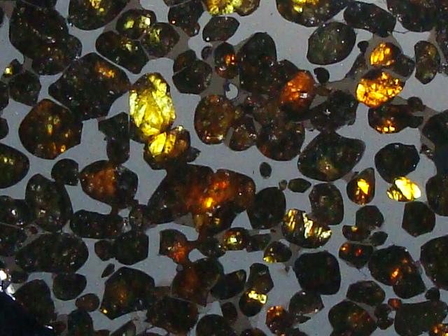Sericho Pallasite Slice 236g