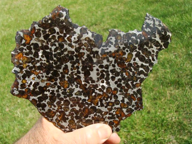 Sericho Pallasite Slice 236g