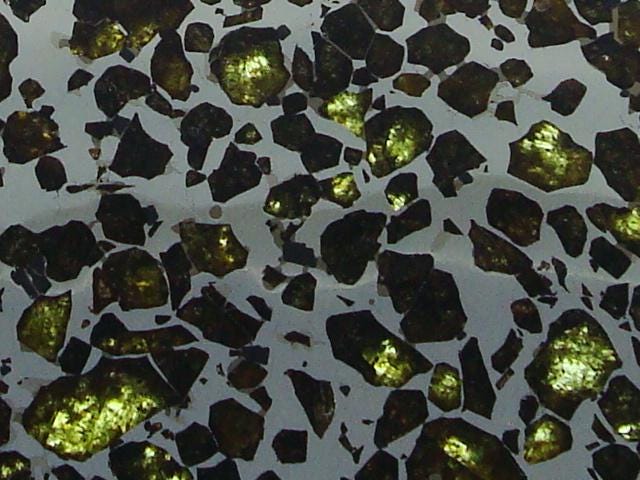 Brahin Pallasite Slice 563 grams