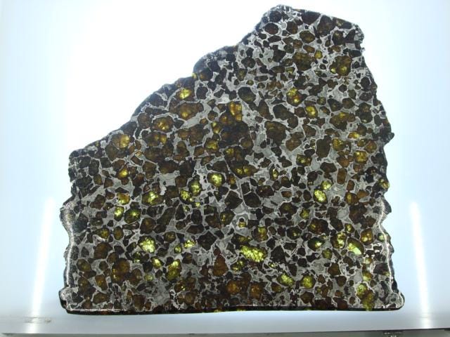 Brahin Pallasite Slice 563 grams