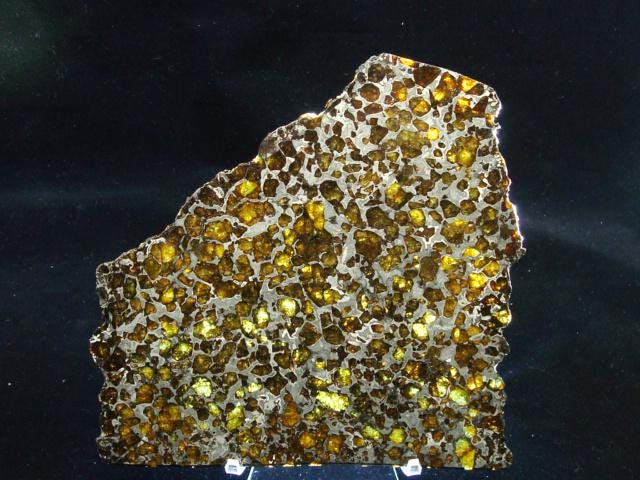 Brahin Pallasite Slice 563 grams