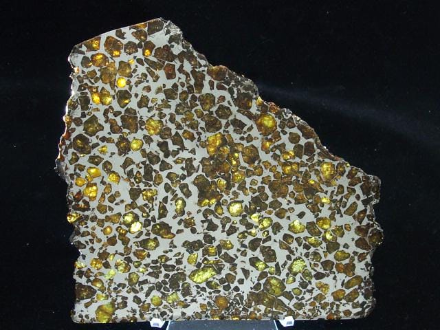 Brahin Pallasite Slice 563 grams