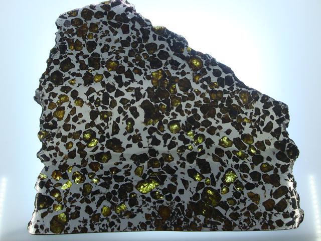 Brahin Pallasite Slice 563 grams