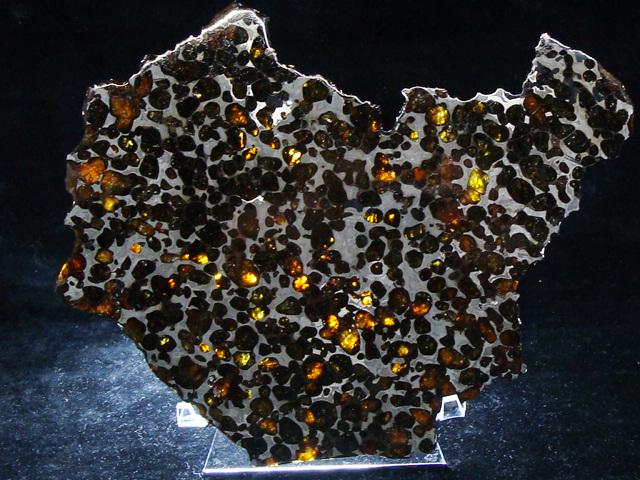 Sericho Pallasite Slice 236g