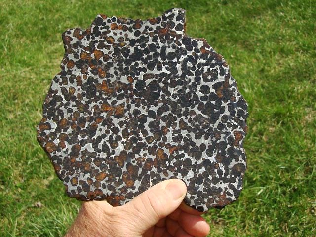 Sericho Pallasite Slice 395g