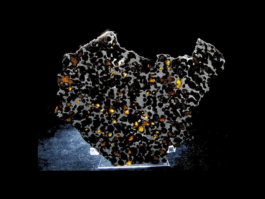 Sericho Pallasite Slice 236g