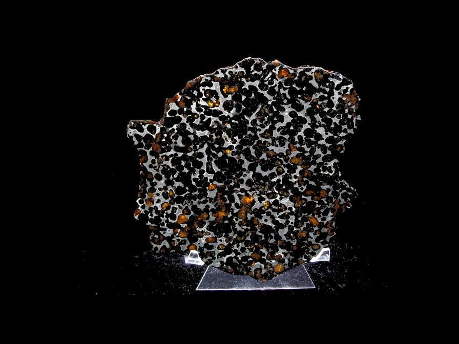 Sericho Pallasite Slice 395g