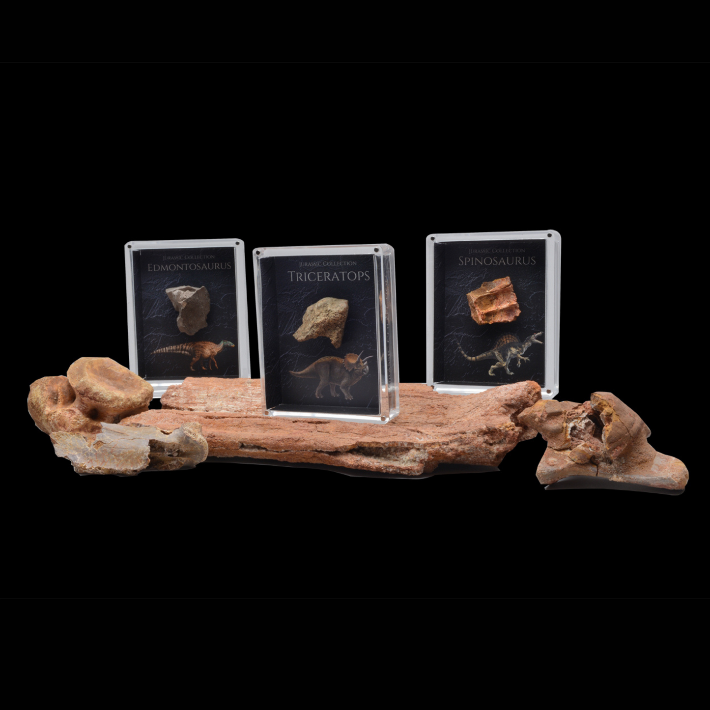 Cretaceous Period Dinosaur Gift Box Bundle