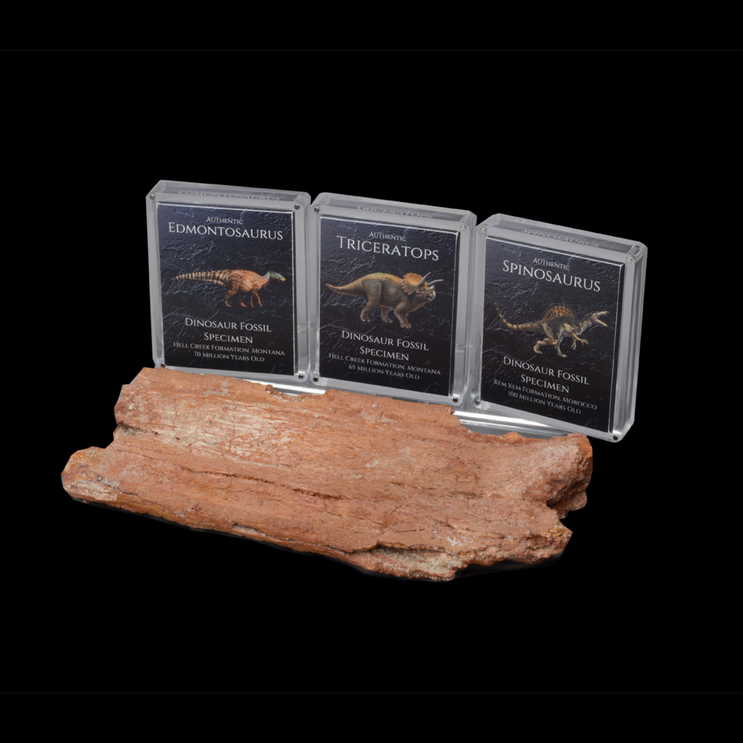 Cretaceous Period Dinosaur Gift Box Bundle