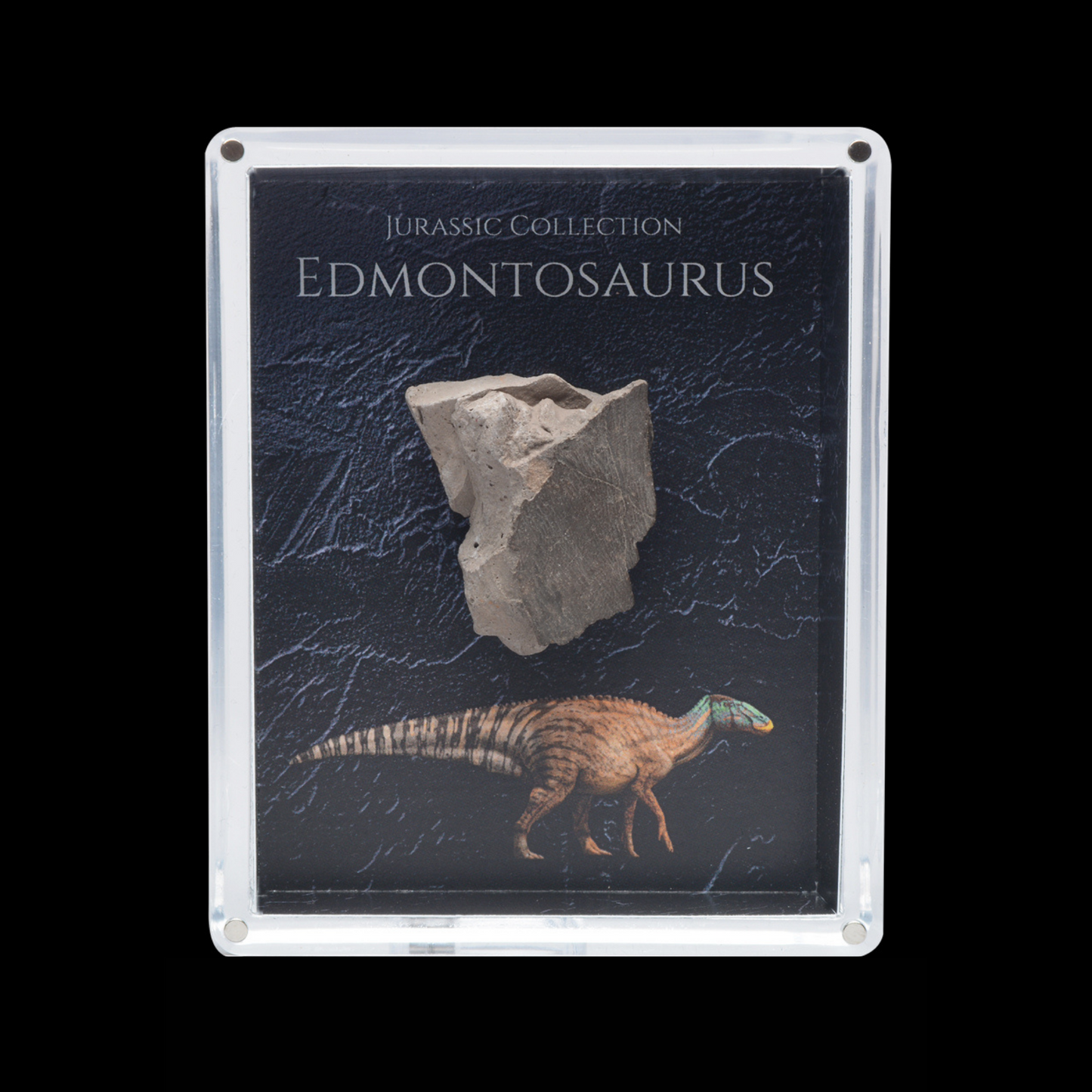Cretaceous Period Dinosaur Gift Box Bundle