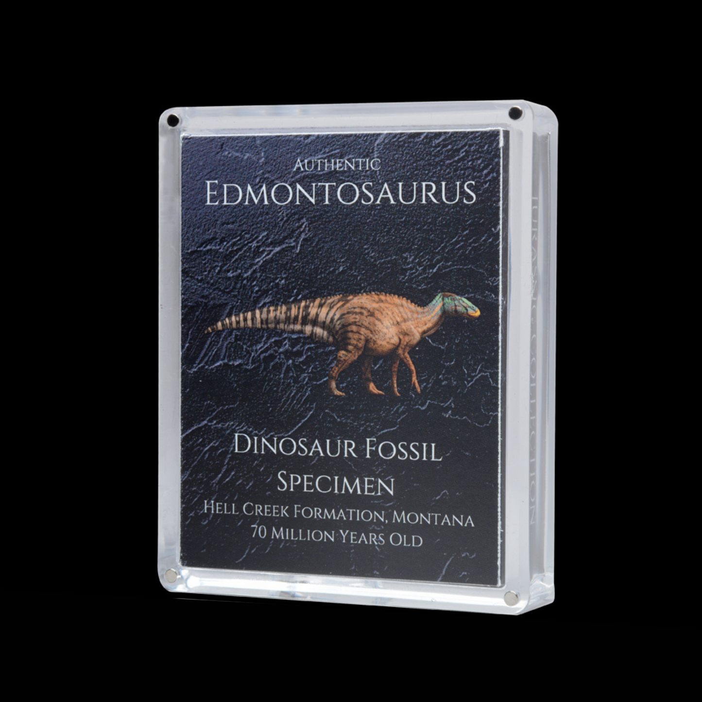 Cretaceous Period Dinosaur Gift Box Bundle