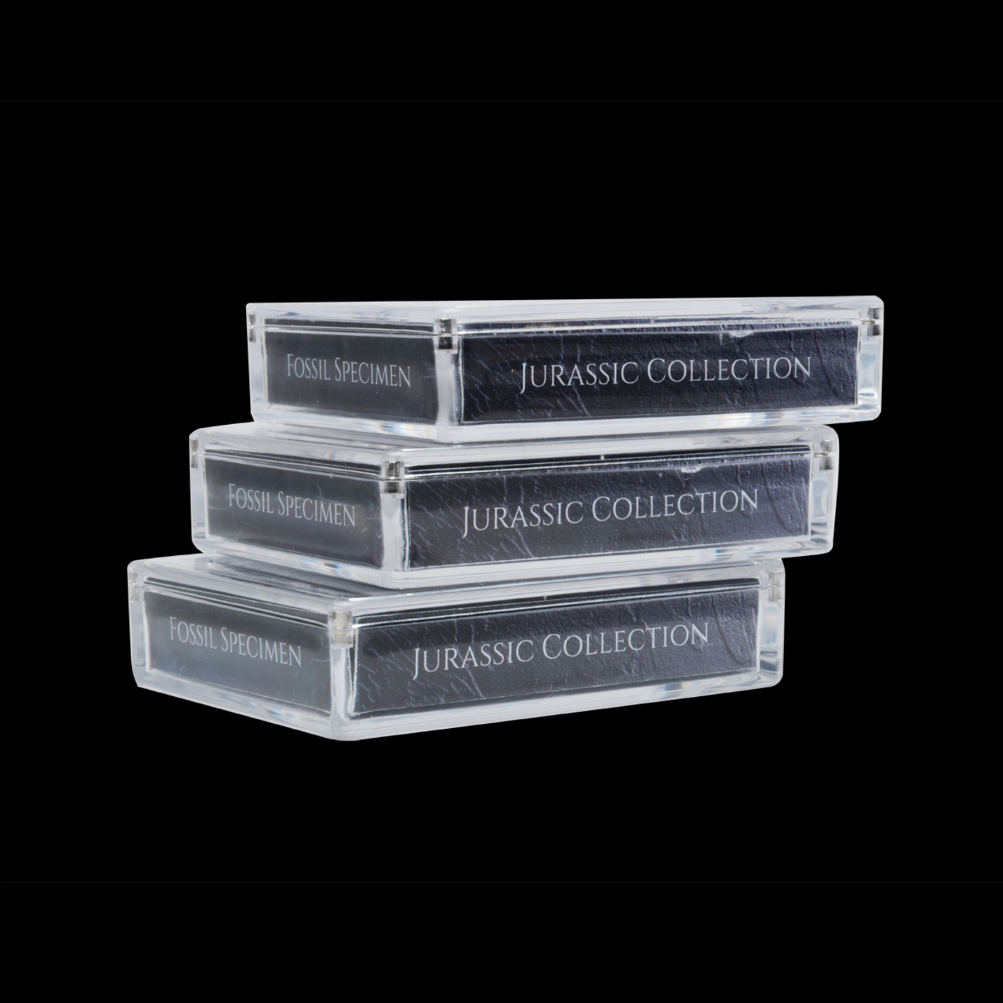 Cretaceous Period Dinosaur Gift Box Bundle