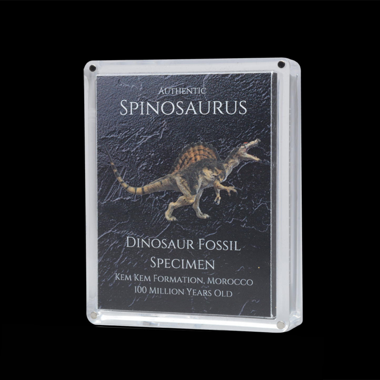 Cretaceous Period Dinosaur Gift Box Bundle