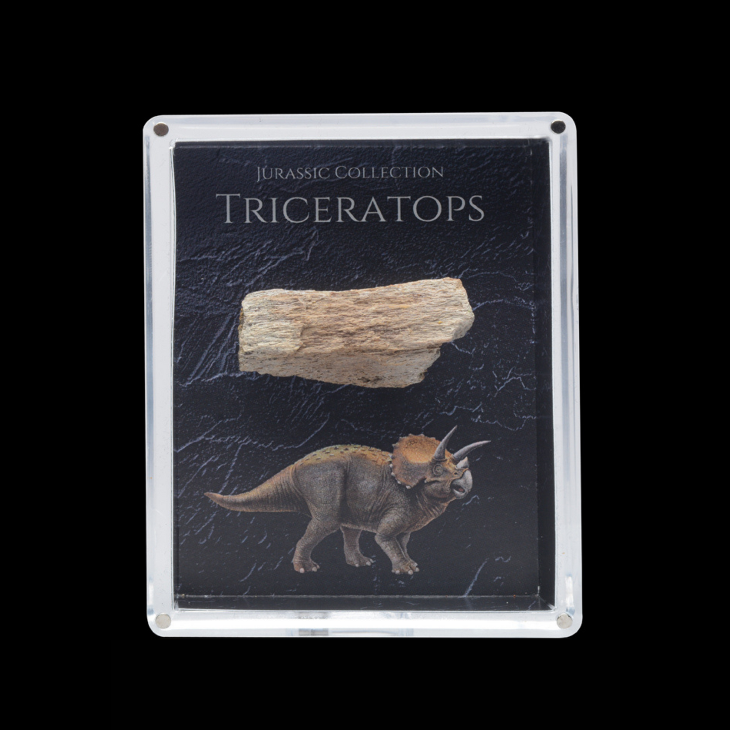 Cretaceous Period Dinosaur Gift Box Bundle