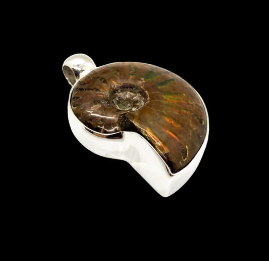 Ammonite pendant in sterling chrome silver