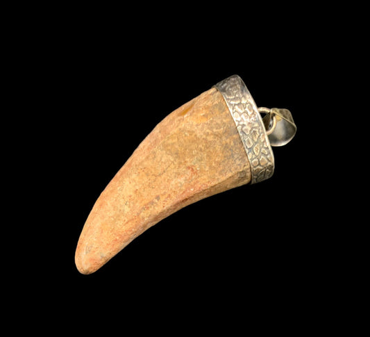Carcharodontosaurus Tooth Fossil Pendant