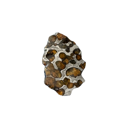 Brenham Pallasite Slice 29 grams in stand