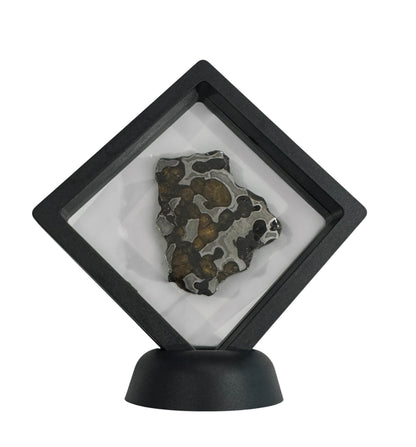 Brenham Pallasite Slice 30 grams in stand