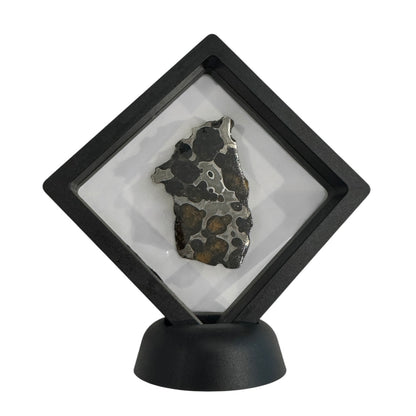 Brenham Pallasite Slice 24 grams in stand