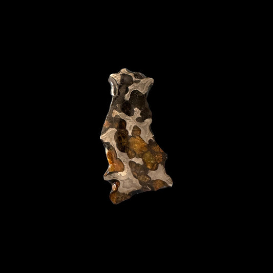 Brenham Pallasite Slice 23 grams in stand