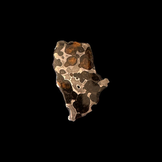 Brenham Pallasite Slice 24 grams in stand