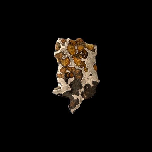 Brenham Pallasite Slice 25 grams in stand