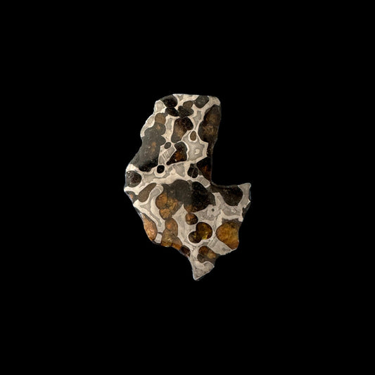 Brenham Pallasite Slice 27 grams in stand
