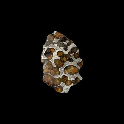 Brenham Pallasite Slice 29 grams in stand