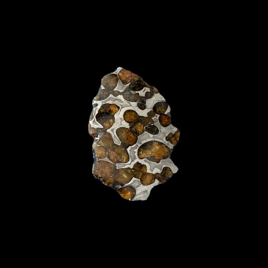 Brenham Pallasite Slice 29 grams in stand