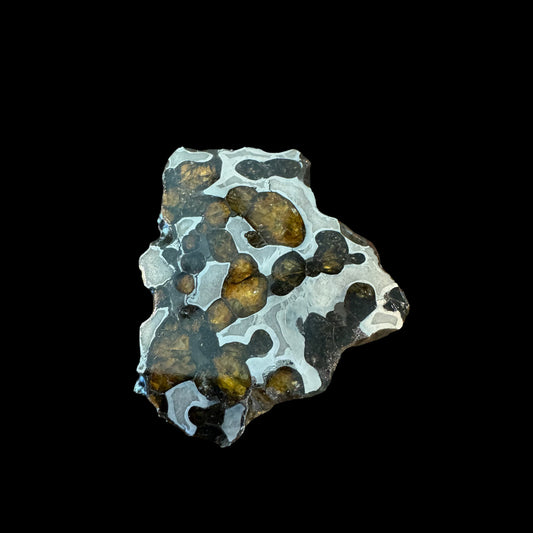 Brenham Pallasite Slice 30 grams in stand