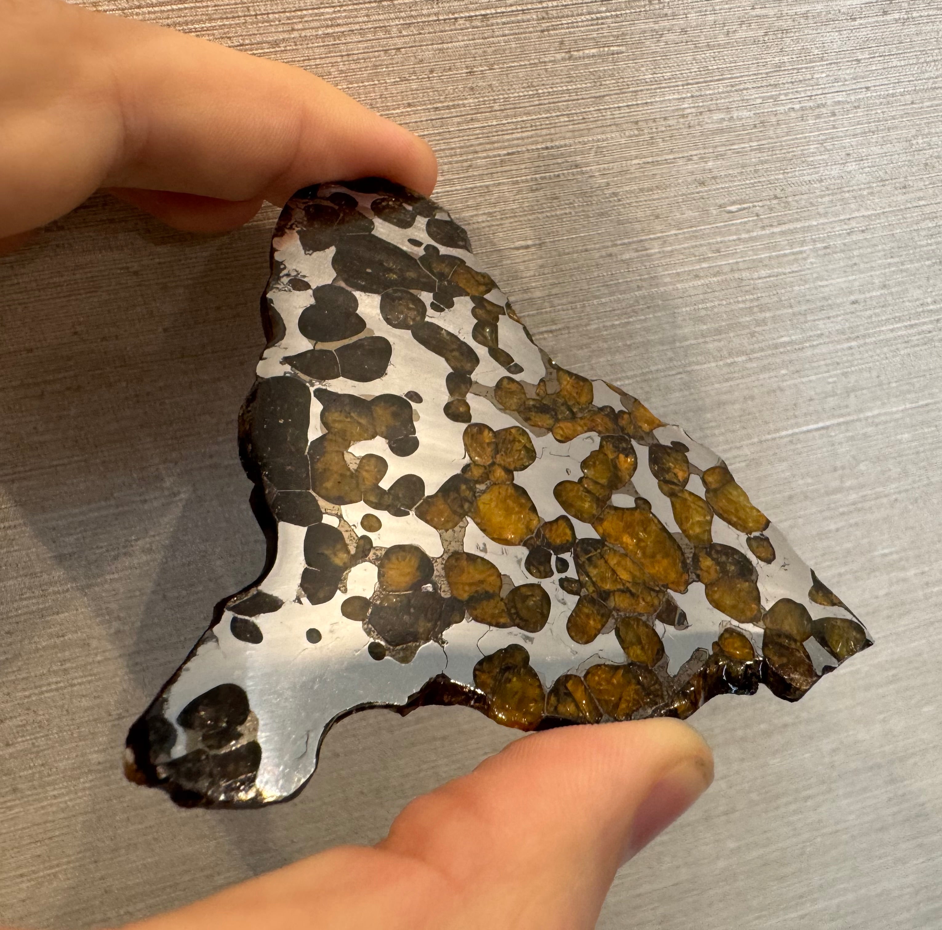 Brenham Pallasite Slice 58 grams – Jurassic Gallery