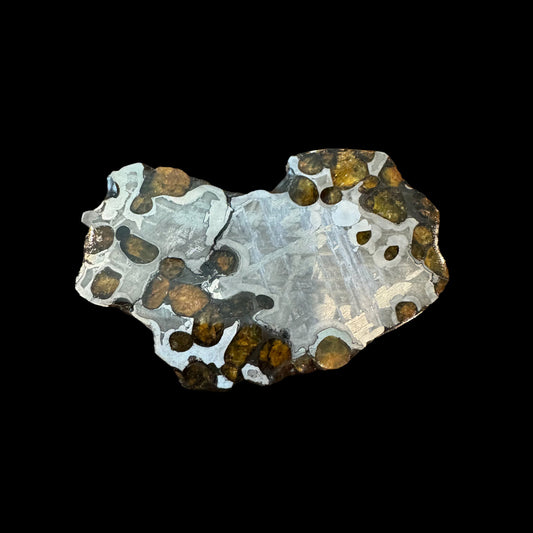 Brenham Pallasite Slice 40 grams in stand