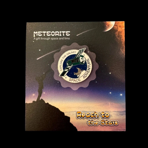 Space Adventure Meteorite Pin