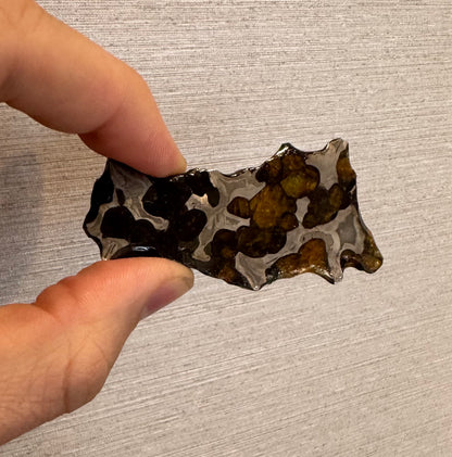Brenham Pallasite Slice 23 grams in stand