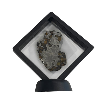 Brenham Pallasite Slice 40 grams in stand