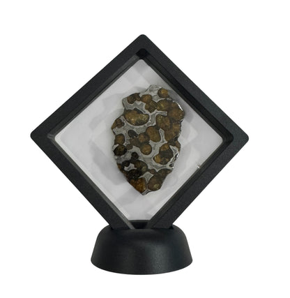 Brenham Pallasite Slice 29 grams in stand