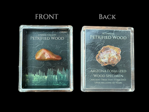 Petrified Wood Gift Box