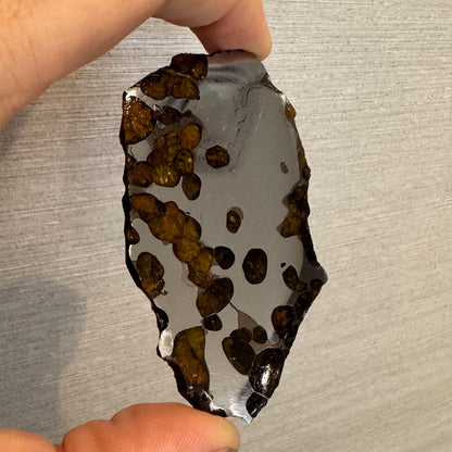 Brenham Pallasite Slice 53 grams in stand