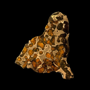 Brenham Pallasite Slice 58 grams