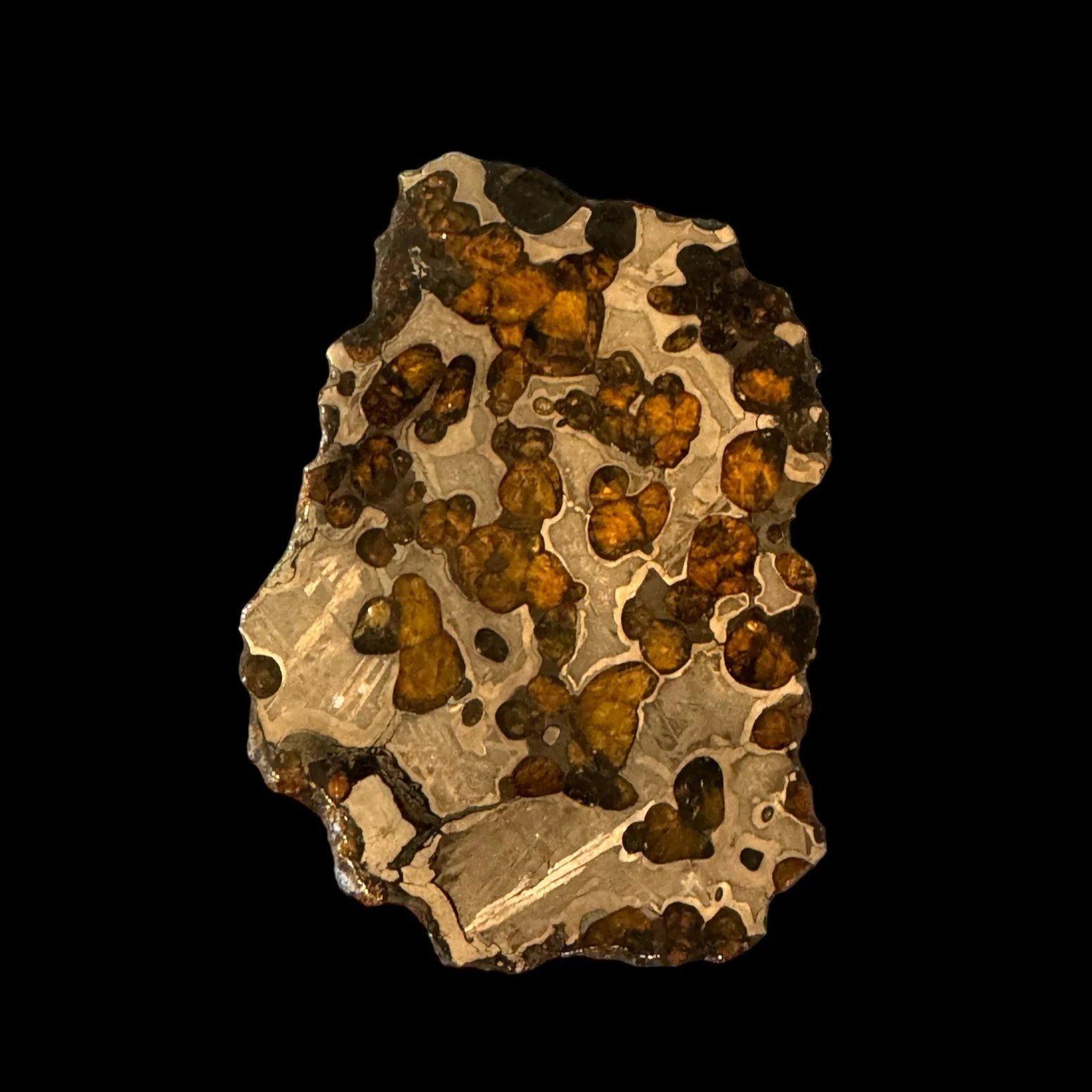 Brenham Pallasite Slice 67 grams