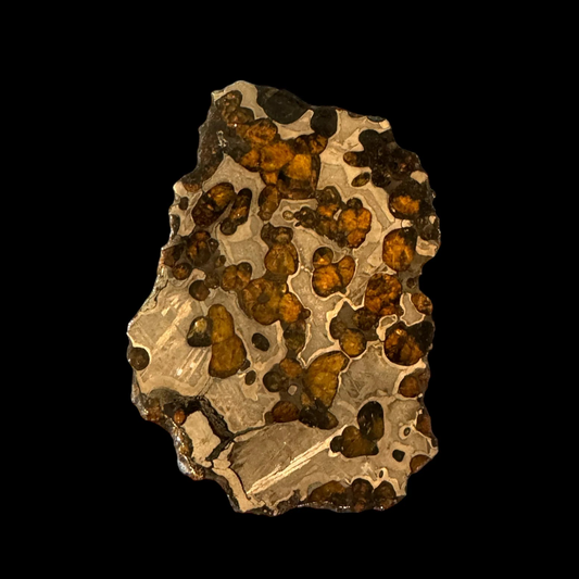 Brenham Pallasite Slice 67 grams