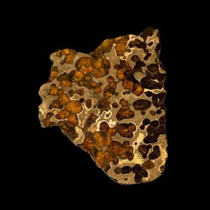 Brenham Pallasite Slice 98 grams