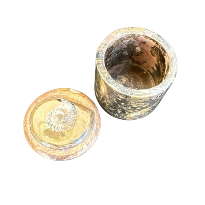 Ammonite Vanity Box