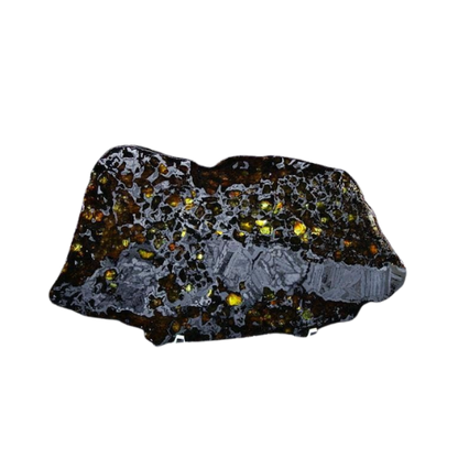 Seymchan Pallasite Slice 464g