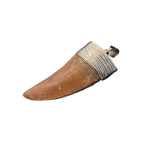 Carcharodontosaurus Tooth Pendant | 2.5" | Sterling Silver | 100% Authentic