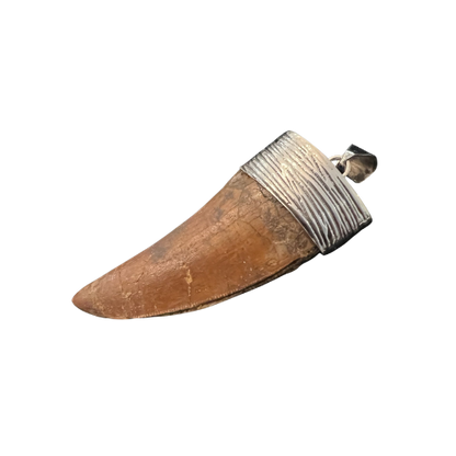 Carcharodontosaurus Tooth Pendant | 2.5" | Sterling Silver | 100% Authentic