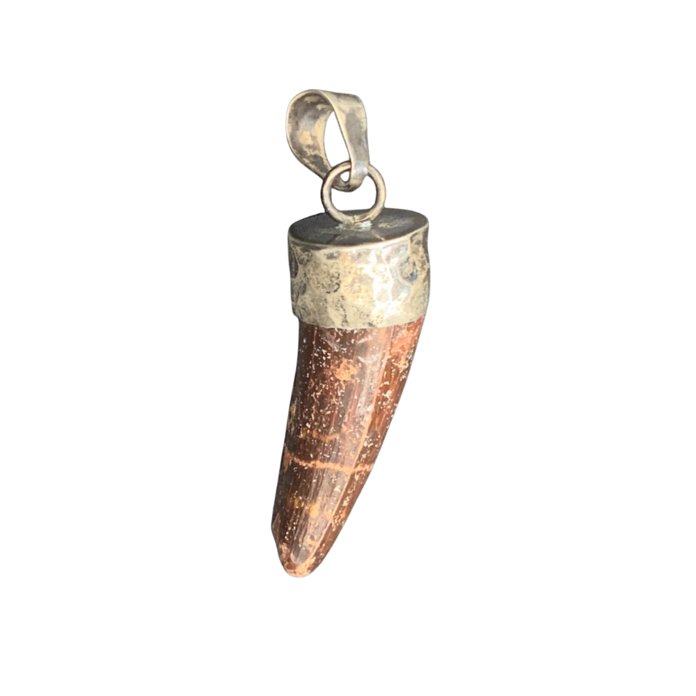 Spinosaurus Tooth Pendant | Sterling Silver | 100% Authentic